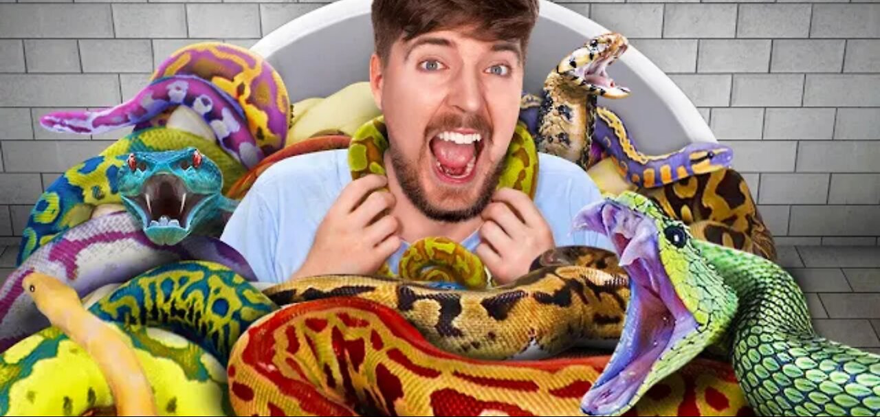 Would You Sit In Snakes For $10,000?
