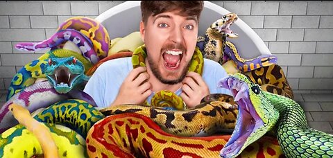 Would You Sit In Snakes For $10,000?