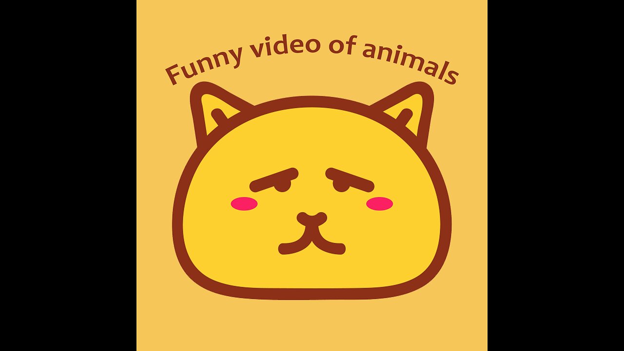 Funny Cats