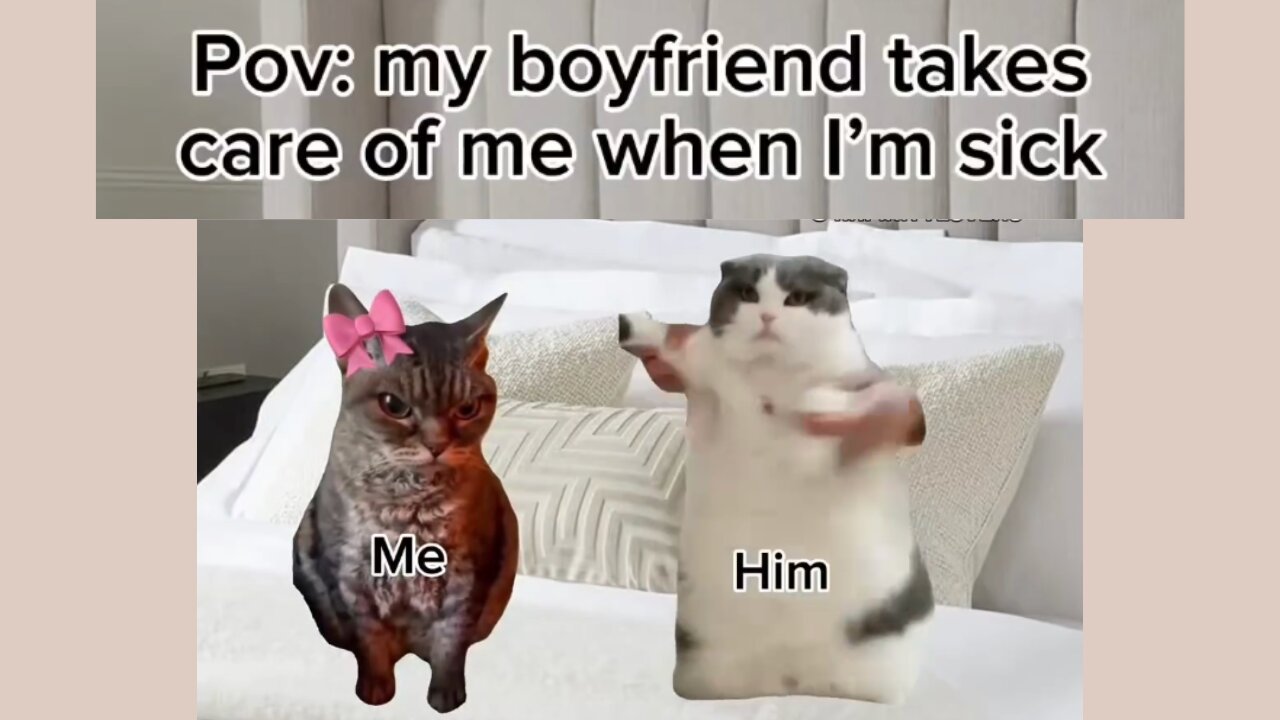 Cat meme part:03