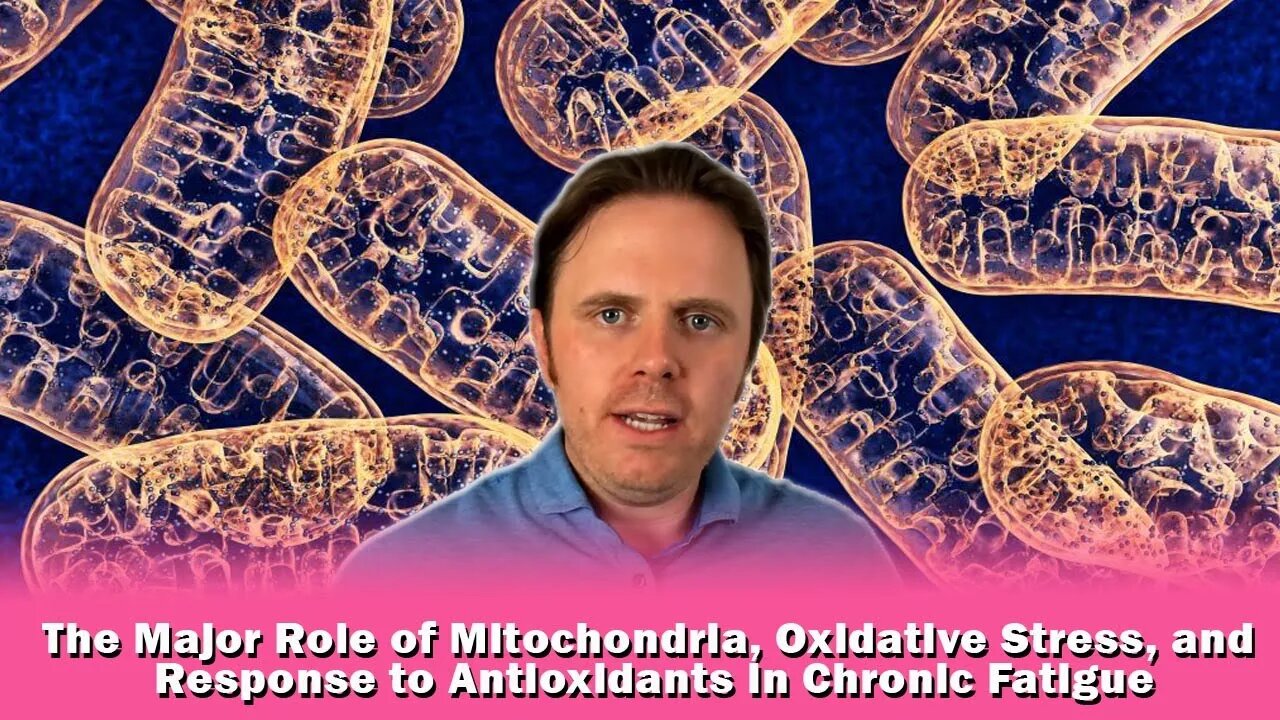 The Major Role of Mitochondria, Oxidative Stress, and Response to Antioxidants in Chronic Fatigue