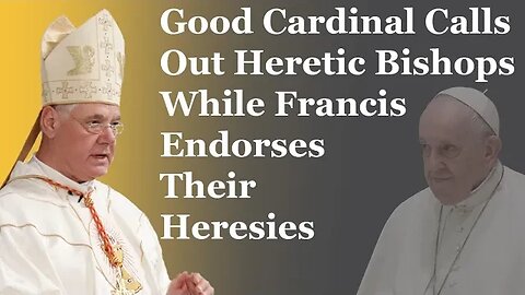 Good Cardinal Calls Out Heretic Bishops While Francis Endorses Their Heresies