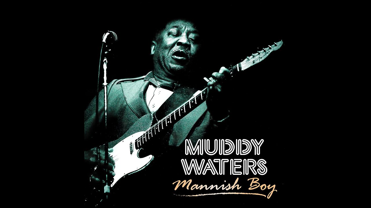 Muddy Waters - Mannish Boy (Live)