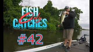 Bass Fishing " 101 "...Pitching Wood