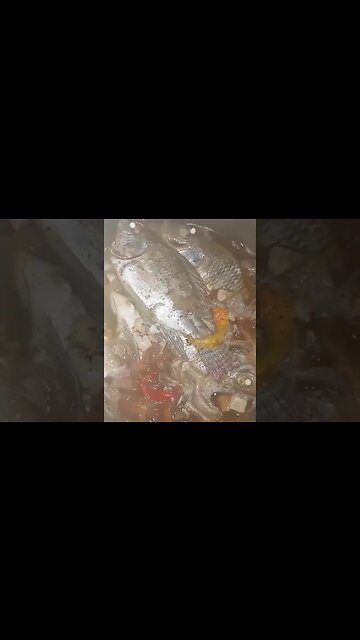 Fish cooked in vinegar- paksiu in tagalog- filipino food