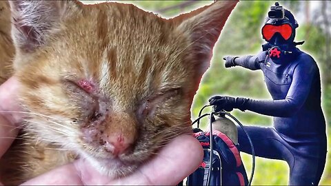 Most Heartbreaking Find Ever Before Scuba Diving!! (Left To Die)