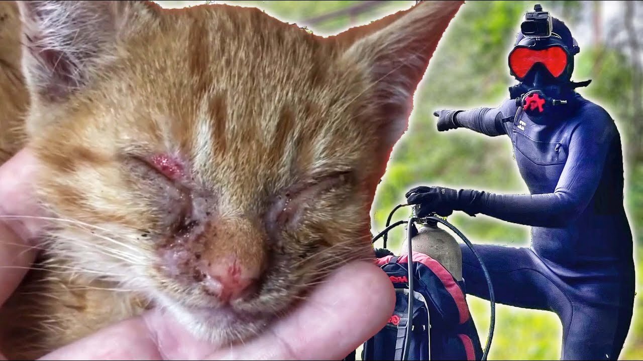 Most Heartbreaking Find Ever Before Scuba Diving!! (Left To Die)