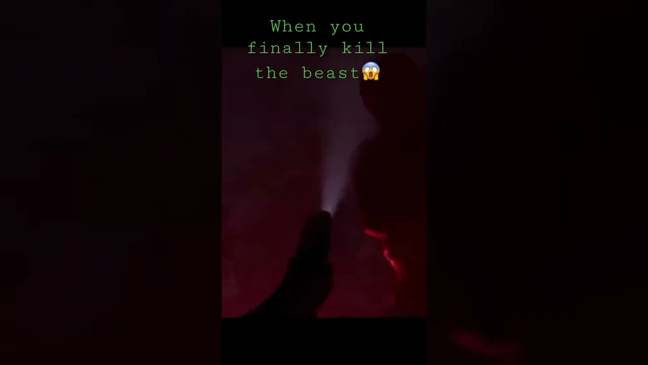☠️🎬
