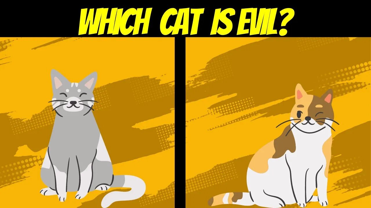 This Cat Riddles are strange to Humans||Animal Riddles