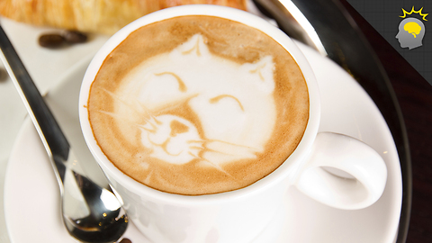 Stuff to Blow Your Mind: Respect the Latte Foam - Epic Science