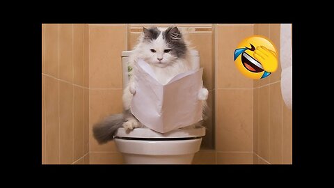 World Best Funniest🤣Cat vs animal vs Kid 🤼‍♂️ Entertainment Don't Try Laughing 🤣 2024 clips 🫡