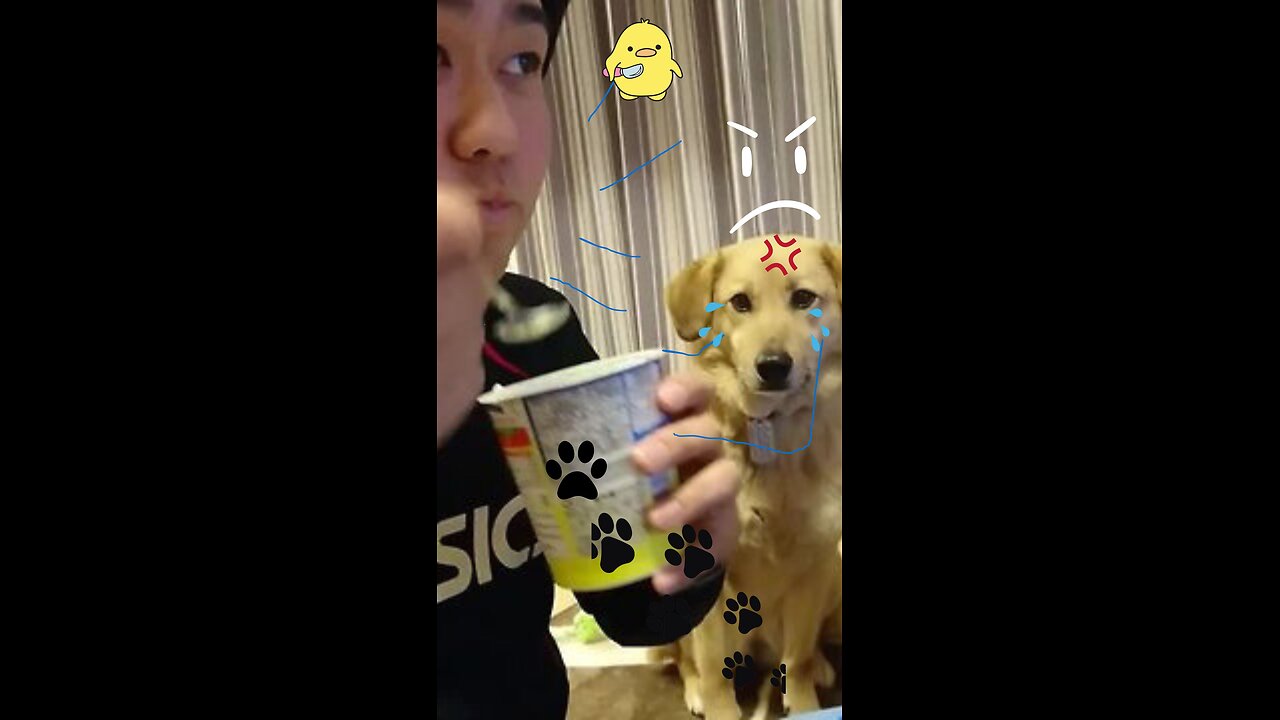 Dog tries to steal owners icecream,,,,,,Angryyyyyyyyyyy