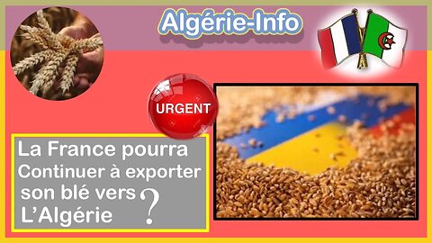 Urgent : La France risque de ne plus pouvoir exporter son blé vers l'Algérie.
