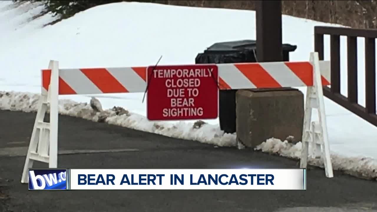 Bear alert in Lancaster