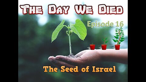 The Day We Died episode 16( Grafted In)