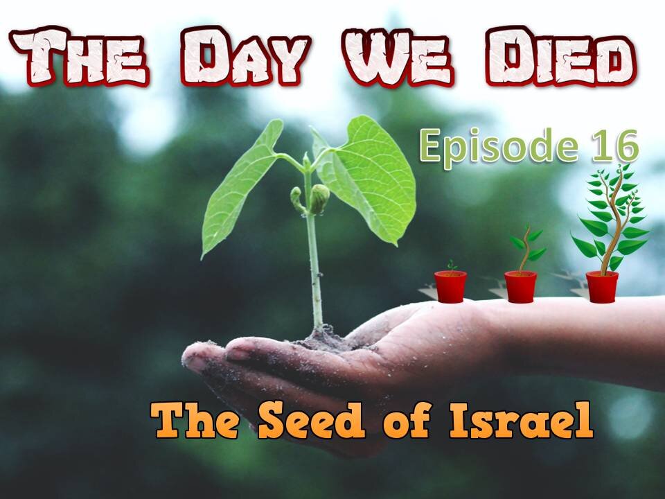 The Day We Died episode 16( Grafted In)