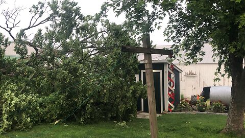 Tornado damaged Tree fell on propane tank