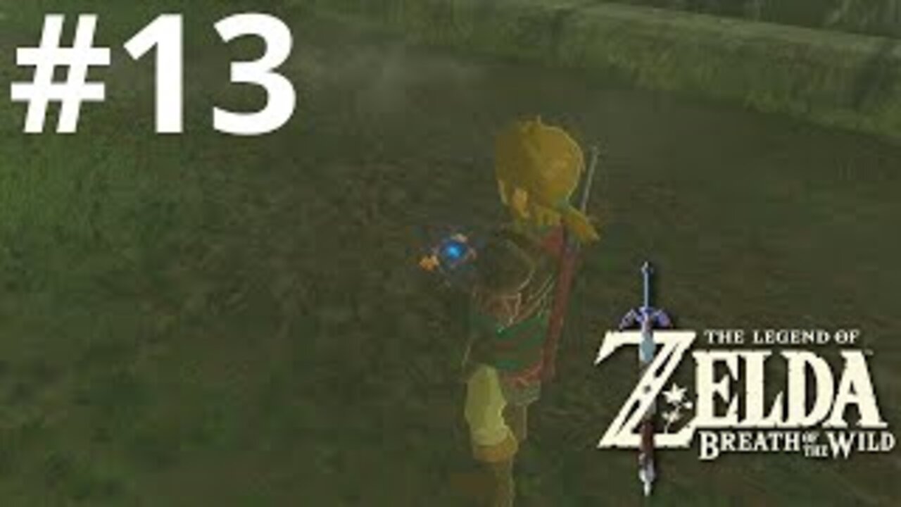 Our first memory| The Legend of Zelda: Breath of the Wild #13