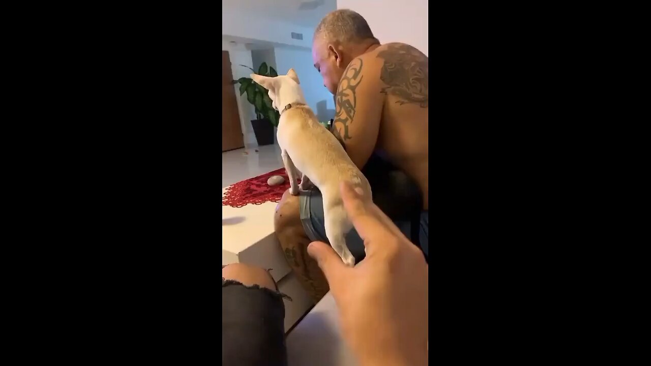 He got in fight with hose dog😂😂
