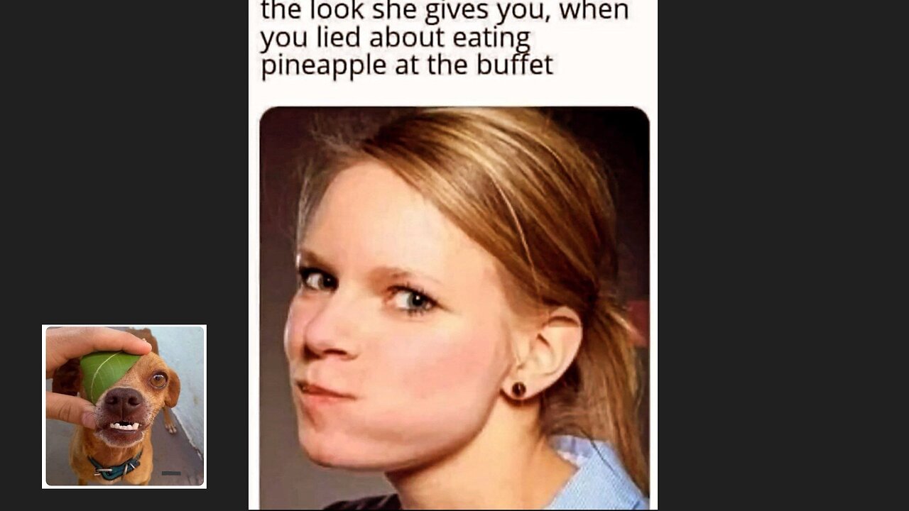 Memes That Will 99.795% Make You Laugh. (e19)