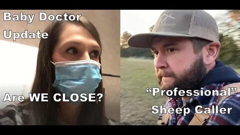 Baby Doc Report, Hog update .. and Ain’t No Sheep -