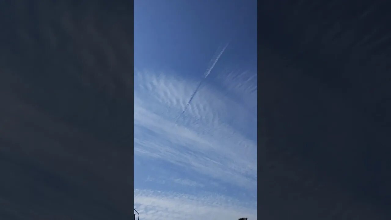 weird 🧪🔭 science