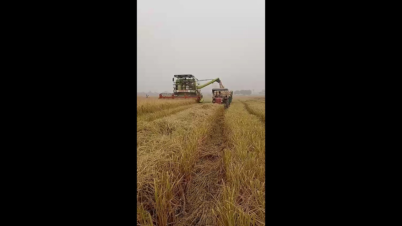 tank full
