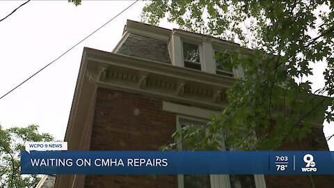 CMHA plugged her apartment leaks with rags and left. Then the bees moved in.