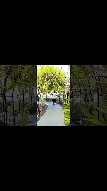 RAnks having fun in punta Cana