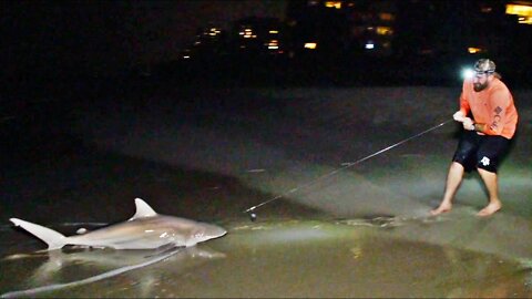 Shark Fishing Battle - Dude Perfect