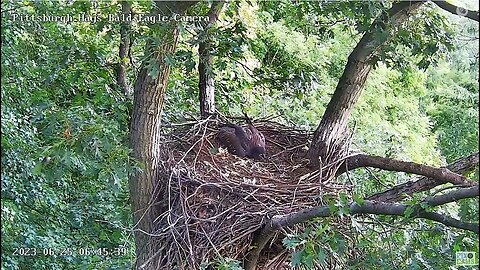 Hays Eagles H20 hides fish from approaching H19! Clever! 06-25-2023 6:44am