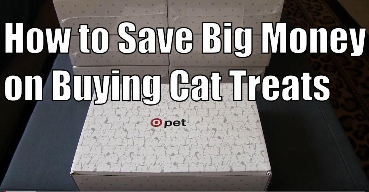 How to Save Big Money on Buying Cat Treats -Target Petbox Review