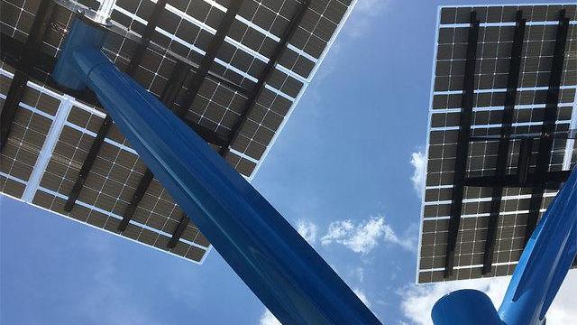 FPL introduces solar trees to South Florida