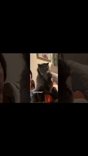 !! Thank you everyone