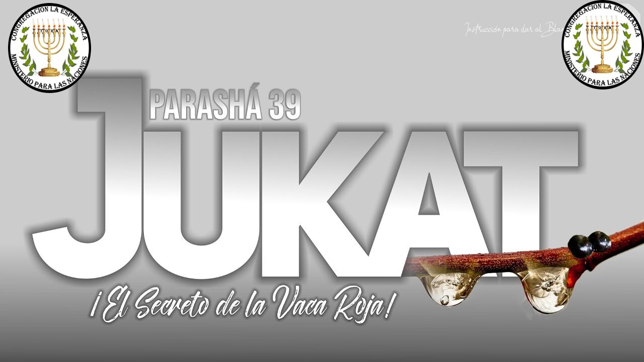 Parasha #39 Jukat