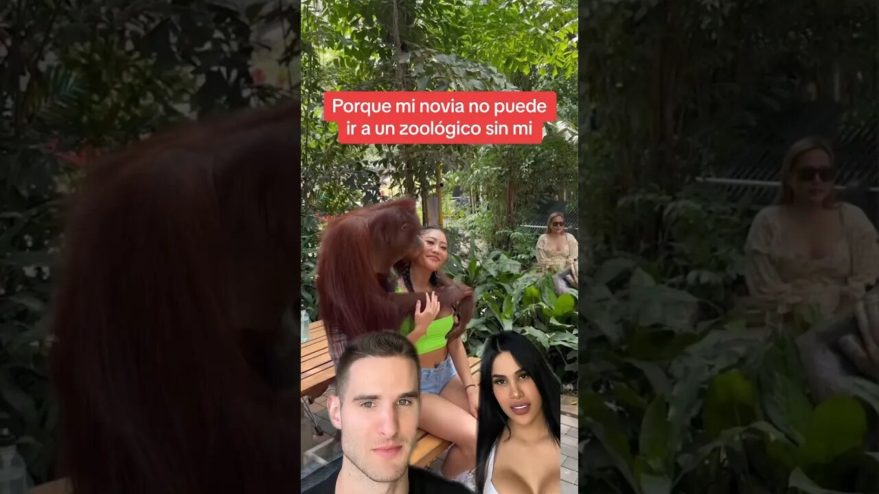 Porque mi novia no puede ir a un zoológico sin mi