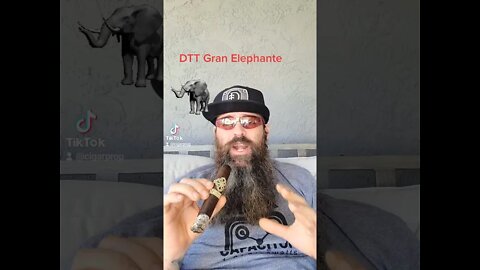 DTT Gran Elephante