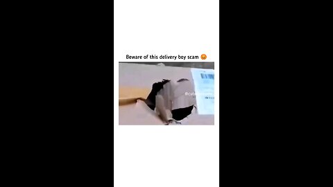 Delivery Cat😹😹