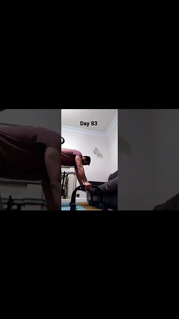 Day 83 - Learning How To Do Handstand Push Ups