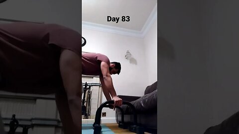 Day 83 - Learning How To Do Handstand Push Ups