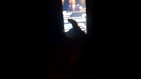Best video ever