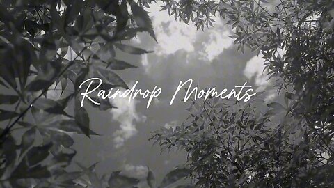 #LOFI - RAINDROP MOMENTS