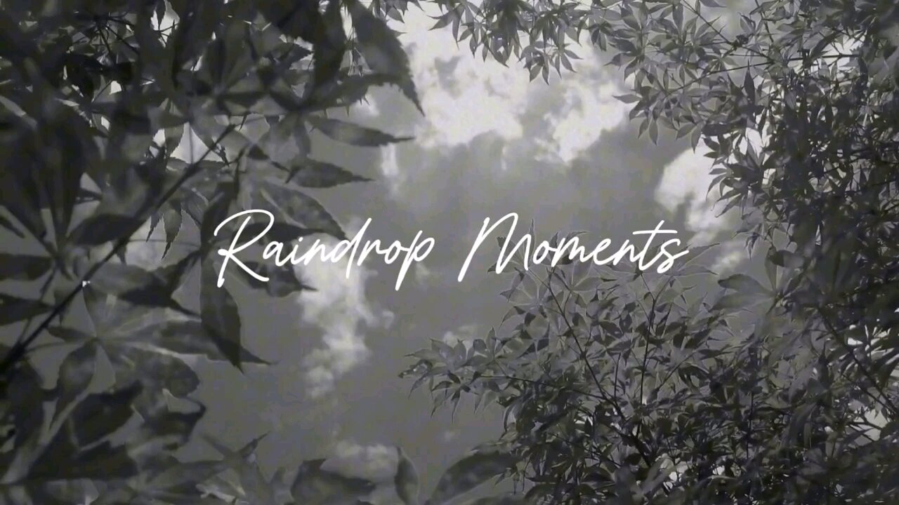 #LOFI - RAINDROP MOMENTS