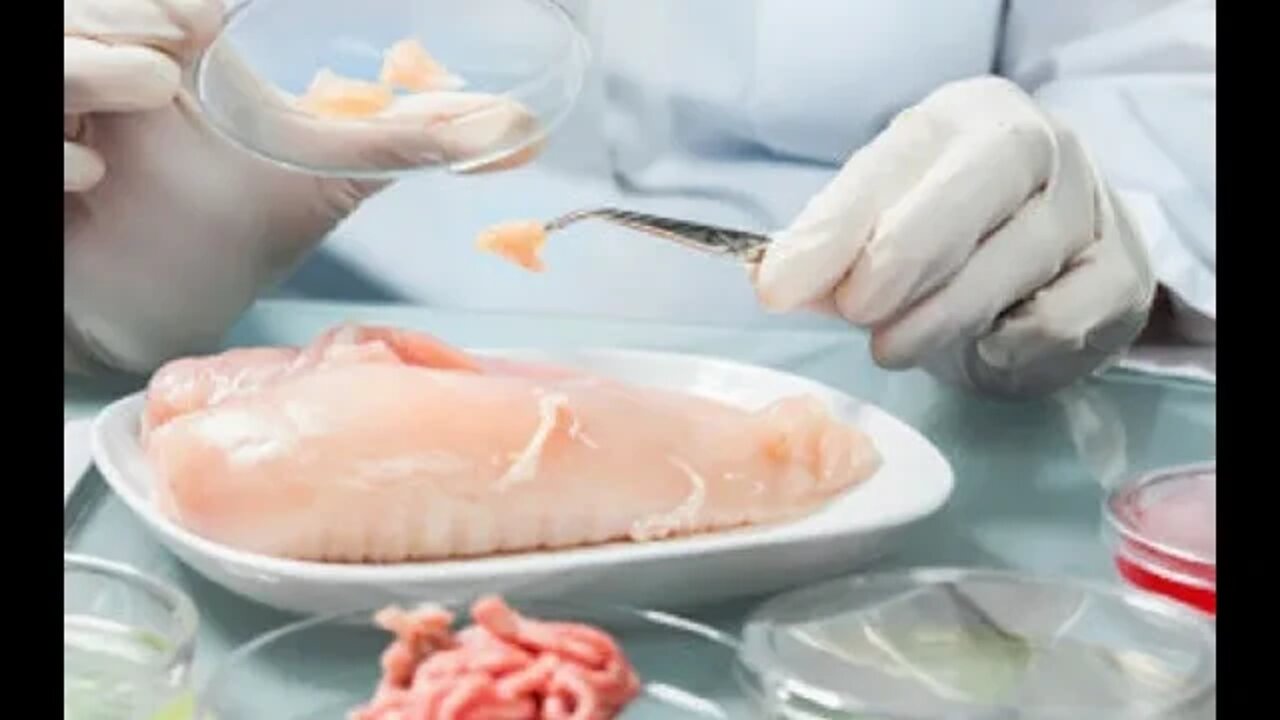 Lab meat facility here in NC along with attacks on backyard flocks.