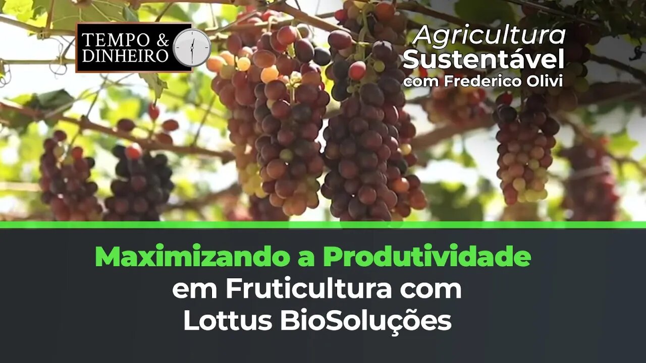 Maximizando a produtividade a Fruticultura com Lottus BioSoluções