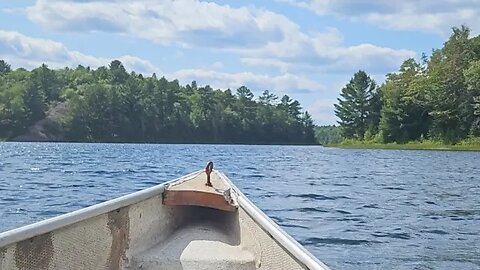 Solo Canoe Bass Fishing Live