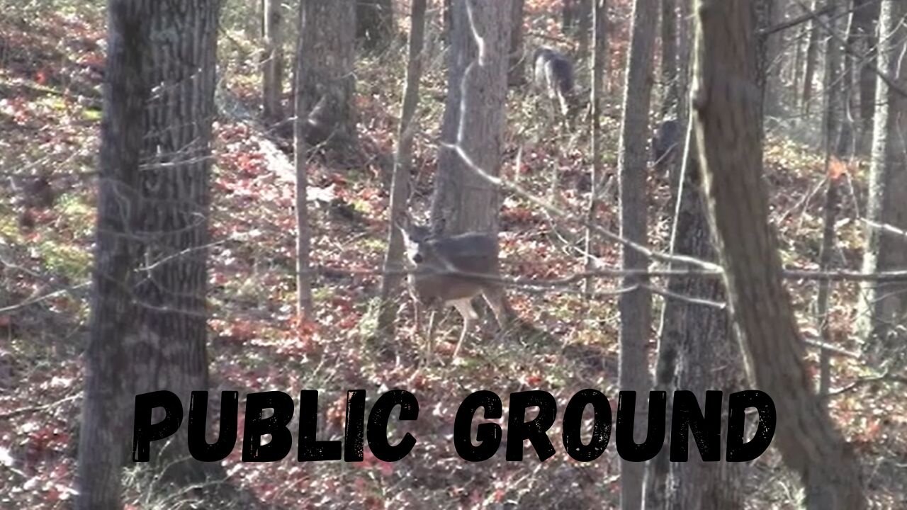 Awesome Public ground sit