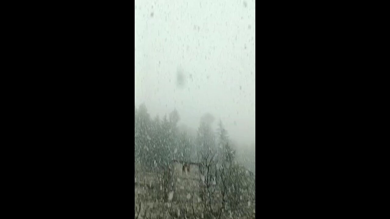 Snowfall in Manali, Himachal Pradesh