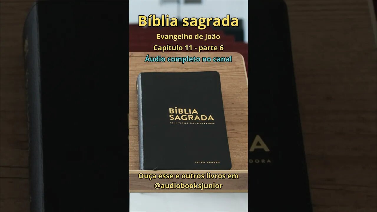 Bíblia Sagrada - Evangelho de João - Capítulo 11 - parte 6