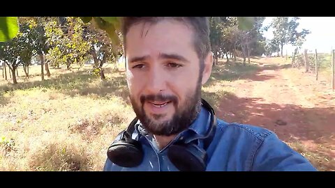Perícia judicial: O objeto da perícia se perdeu - Parte 1/2